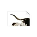 Picture of Max, the Bull _GroupedProduct_Rectangle_Landscape_Photography _GroupedProduct_Rectangle_Landscape_Unframed_Print_Only_
