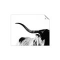 Picture of Max, the Bull _GroupedProduct_Rectangle_Landscape_Photography _GroupedProduct_Rectangle_Landscape_Unframed_Print_Only_