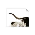 Picture of Max, the Bull _GroupedProduct_Rectangle_Landscape_Photography _GroupedProduct_Rectangle_Landscape_Unframed_Print_Only_