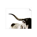 Picture of Max, the Bull _GroupedProduct_Rectangle_Landscape_Photography _GroupedProduct_Rectangle_Landscape_Unframed_Print_Only_