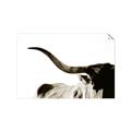 Picture of Max, the Bull _GroupedProduct_Rectangle_Landscape_Photography _GroupedProduct_Rectangle_Landscape_Unframed_Print_Only_