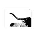 Picture of Max, the Bull _GroupedProduct_Rectangle_Landscape_Photography _GroupedProduct_Rectangle_Landscape_Unframed_Print_Only_