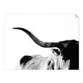 Picture of Max, the Bull _GroupedProduct_Rectangle_Landscape_Photography _GroupedProduct_Rectangle_Landscape_Unframed_Print_Only_