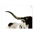 Picture of Max, the Bull _GroupedProduct_Rectangle_Landscape_Photography _GroupedProduct_Rectangle_Landscape_Unframed_Print_Only_