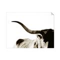 Picture of Max, the Bull _GroupedProduct_Rectangle_Landscape_Photography _GroupedProduct_Rectangle_Landscape_Unframed_Print_Only_