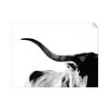 Picture of Max, the Bull _GroupedProduct_Rectangle_Landscape_Photography _GroupedProduct_Rectangle_Landscape_Unframed_Print_Only_