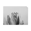 Picture of Mid Bloom _GroupedProduct_Rectangle_Landscape_Photography _GroupedProduct_Rectangle_Landscape_Unframed_Print_Only_