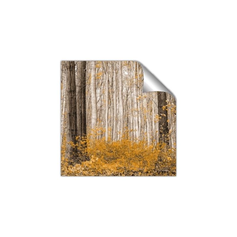 Picture of Mustard Forest _GroupedProduct_Square_Photography _GroupedProduct_Square_Unframed_Print_Only_