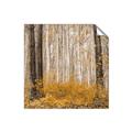Picture of Mustard Forest _GroupedProduct_Square_Photography _GroupedProduct_Square_Unframed_Print_Only_