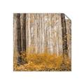 Picture of Mustard Forest _GroupedProduct_Square_Photography _GroupedProduct_Square_Unframed_Print_Only_