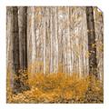 Picture of Mustard Forest _GroupedProduct_Square_Photography _GroupedProduct_Square_Unframed_Print_Only_