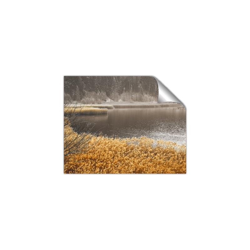 Picture of Mustard Grass Lake _GroupedProduct_Rectangle_Landscape_Photography _GroupedProduct_Rectangle_Landscape_Unframed_Print_Only_