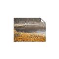 Picture of Mustard Grass Lake _GroupedProduct_Rectangle_Landscape_Photography _GroupedProduct_Rectangle_Landscape_Unframed_Print_Only_