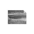 Picture of Mustard Grass Lake _GroupedProduct_Rectangle_Landscape_Photography _GroupedProduct_Rectangle_Landscape_Unframed_Print_Only_