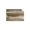 Picture of Mustard Grass Lake _GroupedProduct_Rectangle_Landscape_Photography _GroupedProduct_Rectangle_Landscape_Unframed_Print_Only_