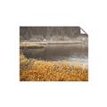 Picture of Mustard Grass Lake _GroupedProduct_Rectangle_Landscape_Photography _GroupedProduct_Rectangle_Landscape_Unframed_Print_Only_