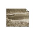 Picture of Mustard Grass Lake _GroupedProduct_Rectangle_Landscape_Photography _GroupedProduct_Rectangle_Landscape_Unframed_Print_Only_