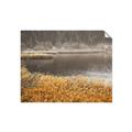Picture of Mustard Grass Lake _GroupedProduct_Rectangle_Landscape_Photography _GroupedProduct_Rectangle_Landscape_Unframed_Print_Only_
