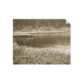 Picture of Mustard Grass Lake _GroupedProduct_Rectangle_Landscape_Photography _GroupedProduct_Rectangle_Landscape_Unframed_Print_Only_