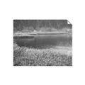 Picture of Mustard Grass Lake _GroupedProduct_Rectangle_Landscape_Photography _GroupedProduct_Rectangle_Landscape_Unframed_Print_Only_