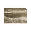 Picture of Mustard Grass Lake _GroupedProduct_Rectangle_Landscape_Photography _GroupedProduct_Rectangle_Landscape_Unframed_Print_Only_