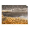 Picture of Mustard Grass Lake _GroupedProduct_Rectangle_Landscape_Photography _GroupedProduct_Rectangle_Landscape_Unframed_Print_Only_