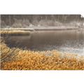 Picture of Mustard Grass Lake _GroupedProduct_Rectangle_Landscape_Photography _GroupedProduct_Rectangle_Landscape_Unframed_Print_Only_