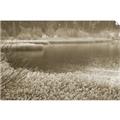 Picture of Mustard Grass Lake _GroupedProduct_Rectangle_Landscape_Photography _GroupedProduct_Rectangle_Landscape_Unframed_Print_Only_