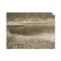 Picture of Mustard Grass Lake _GroupedProduct_Rectangle_Landscape_Photography _GroupedProduct_Rectangle_Landscape_Unframed_Print_Only_