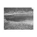Picture of Mustard Grass Lake _GroupedProduct_Rectangle_Landscape_Photography _GroupedProduct_Rectangle_Landscape_Unframed_Print_Only_