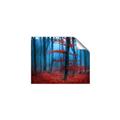 Picture of Mysterious Woods  _GroupedProduct_Rectangle_Landscape_Photography _GroupedProduct_Rectangle_Landscape_Unframed_Print_Only_