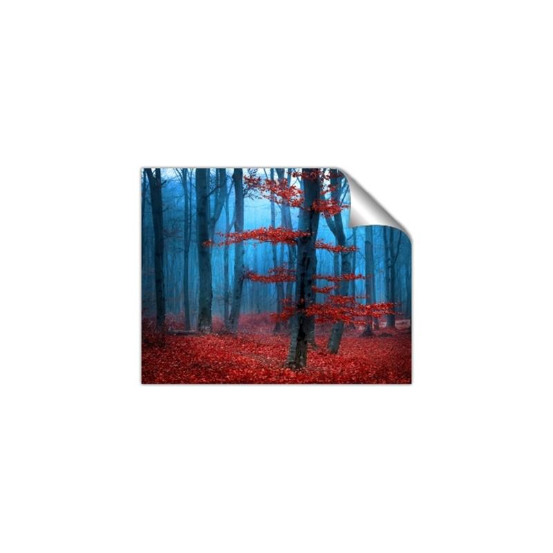 Picture of Mysterious Woods  _GroupedProduct_Rectangle_Landscape_Photography _GroupedProduct_Rectangle_Landscape_Unframed_Print_Only_
