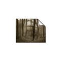 Picture of Mysterious Woods  _GroupedProduct_Rectangle_Landscape_Photography _GroupedProduct_Rectangle_Landscape_Unframed_Print_Only_