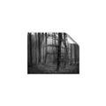 Picture of Mysterious Woods  _GroupedProduct_Rectangle_Landscape_Photography _GroupedProduct_Rectangle_Landscape_Unframed_Print_Only_