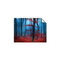 Picture of Mysterious Woods  _GroupedProduct_Rectangle_Landscape_Photography _GroupedProduct_Rectangle_Landscape_Unframed_Print_Only_