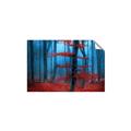 Picture of Mysterious Woods  _GroupedProduct_Rectangle_Landscape_Photography _GroupedProduct_Rectangle_Landscape_Unframed_Print_Only_