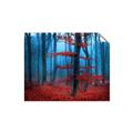 Picture of Mysterious Woods  _GroupedProduct_Rectangle_Landscape_Photography _GroupedProduct_Rectangle_Landscape_Unframed_Print_Only_