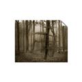 Picture of Mysterious Woods  _GroupedProduct_Rectangle_Landscape_Photography _GroupedProduct_Rectangle_Landscape_Unframed_Print_Only_