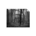 Picture of Mysterious Woods  _GroupedProduct_Rectangle_Landscape_Photography _GroupedProduct_Rectangle_Landscape_Unframed_Print_Only_