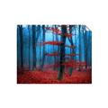 Picture of Mysterious Woods  _GroupedProduct_Rectangle_Landscape_Photography _GroupedProduct_Rectangle_Landscape_Unframed_Print_Only_