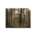 Picture of Mysterious Woods  _GroupedProduct_Rectangle_Landscape_Photography _GroupedProduct_Rectangle_Landscape_Unframed_Print_Only_