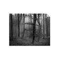 Picture of Mysterious Woods  _GroupedProduct_Rectangle_Landscape_Photography _GroupedProduct_Rectangle_Landscape_Unframed_Print_Only_