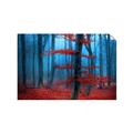 Picture of Mysterious Woods  _GroupedProduct_Rectangle_Landscape_Photography _GroupedProduct_Rectangle_Landscape_Unframed_Print_Only_