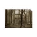 Picture of Mysterious Woods  _GroupedProduct_Rectangle_Landscape_Photography _GroupedProduct_Rectangle_Landscape_Unframed_Print_Only_