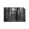 Picture of Mysterious Woods  _GroupedProduct_Rectangle_Landscape_Photography _GroupedProduct_Rectangle_Landscape_Unframed_Print_Only_