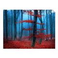 Picture of Mysterious Woods  _GroupedProduct_Rectangle_Landscape_Photography _GroupedProduct_Rectangle_Landscape_Unframed_Print_Only_