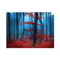 Picture of Mysterious Woods  _GroupedProduct_Rectangle_Landscape_Photography _GroupedProduct_Rectangle_Landscape_Unframed_Print_Only_