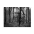 Picture of Mysterious Woods  _GroupedProduct_Rectangle_Landscape_Photography _GroupedProduct_Rectangle_Landscape_Unframed_Print_Only_