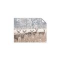 Picture of Oh Deer  _GroupedProduct_Rectangle_Landscape_Photography _GroupedProduct_Rectangle_Landscape_Unframed_Print_Only_