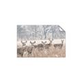 Picture of Oh Deer  _GroupedProduct_Rectangle_Landscape_Photography _GroupedProduct_Rectangle_Landscape_Unframed_Print_Only_